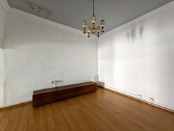 Serangoon Garden Estate (D19), Semi-Detached #639520261